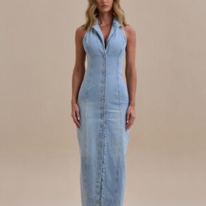 ✦ Dakota Button-Down Denim Maxi Dress